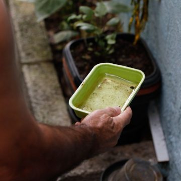 Casos crescem e São Bernardo inicia mutirão de combate à dengue