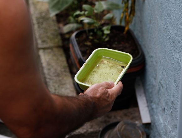 Casos crescem e São Bernardo inicia mutirão de combate à dengue